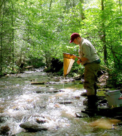 Anthony Timpano samples stream macroinvertebrates in streams with high dissolved solids concentrations (Credit: