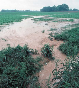 Water flows off a farm in Tennessee following a storm (Credit: Tim McCabe/NRCS)