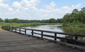 Choptank River watershed nitrate monitoring targets conservation efforts