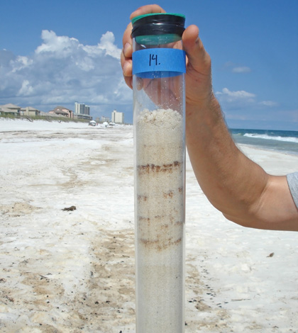 A sand sample from Pensacola Beach in Florida (Credit: Markus Huettel)