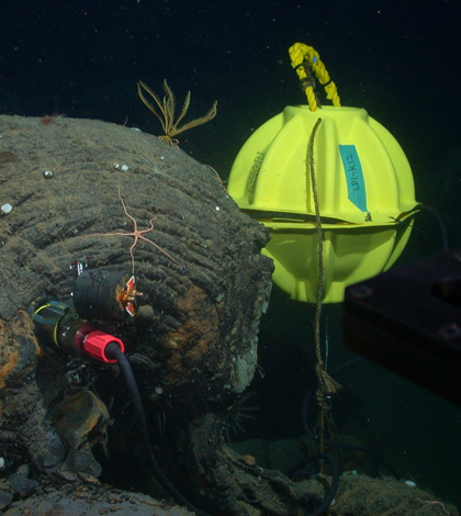 A seismometer inserted into a hole drilled in seafloor lava. Eight of these instruments were installed at an ocean spreading-center volcano 150 miles off Vancouver Island. (Credit: John Delaney and Deborah Kelley, UW)