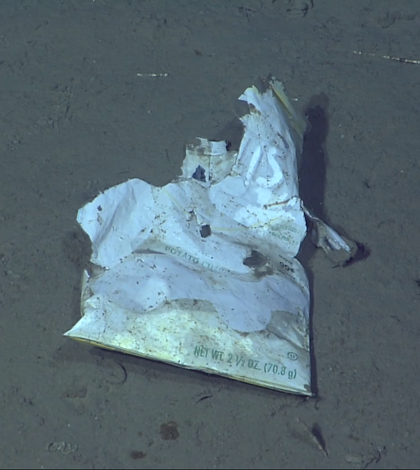 A discarded potato chip bag on the ocean floor captured by MBARI cameras (Credit: MBARI)