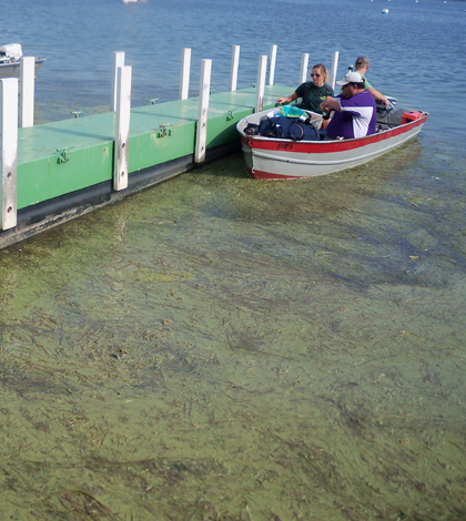 Stone Laboratory dock on Gibraltar Island in Lake Erie (Credit: Ohio Sea Grant, via Flickr)