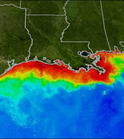 A graphic of the dead zone (depicted in red) along the Gulf Coast (Credit: NOAA)