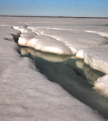 Thawing ice in the Arctic (Credit: NOAA)