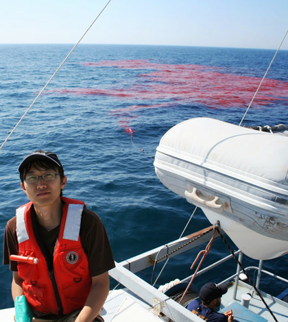 Graduate student Jun Choi and the large dye plume just after release (Credit: Credit: Cary Troy)