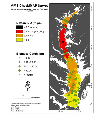 The large dead zone that developed in Chesapeake Bay in the late summer of 2003 in red and fish catches in green. (Credit: VIMS)