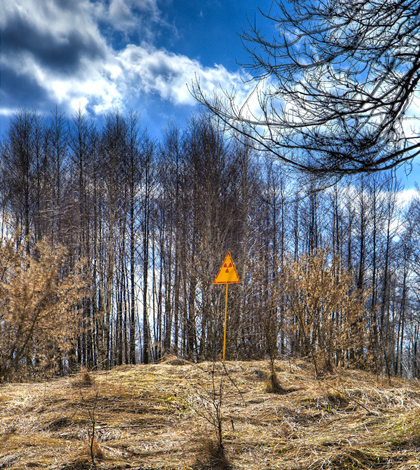 Radioactivity warning sign outside of Chernobyl’s forests (Credit: Timm Suess, Wikimedia Commons)