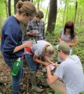 William and Jefferson College students pursue ecology studies at the Abernathy Field Station (Credit: Jamie March)