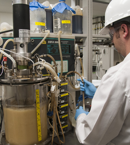 Alltech's Algae Research and Production Facility in Winchester, Kentucky. (Credit: Alltech)