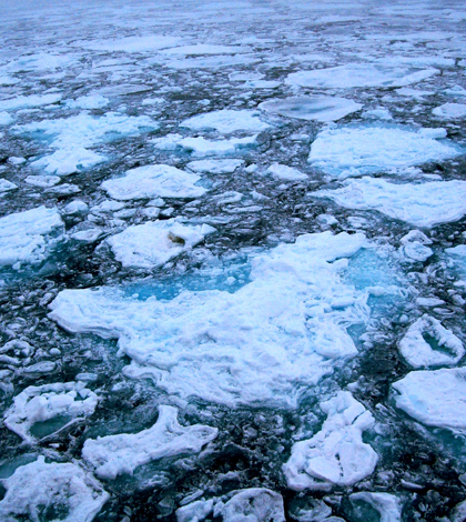 Arctic ice (Credit: Pink floyd88 a, via Wikimedia Commons)