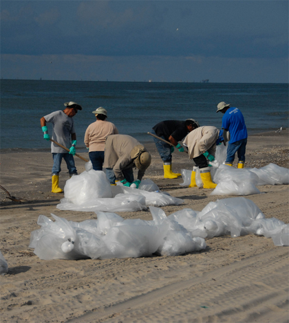 Workers clean a beach after the Deepwater Horizon spill (Credit: National Institute for Occupational Safety and Health)