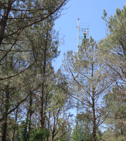Flux tower measures CO2 exchange in a North Carolina forest (Credit: Michael Gavazzi/USDA Forest Service)