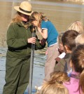 Students from Davenport Elementary School peer into a turbidity tube. (Credit: National Park Service)