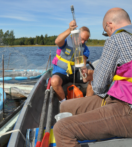 A field mesocosm experiment where DOM effects on coastal production were studied. (Credit: Kristina Viklund, Umeå Marine Sciences Centre)