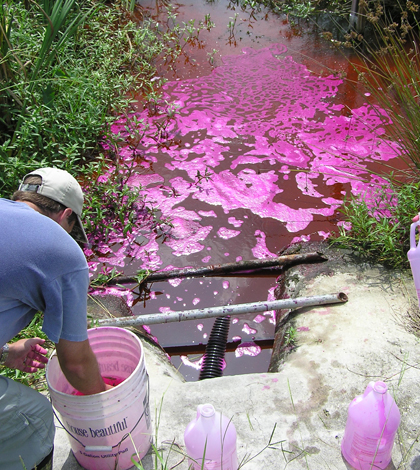 Crews apply Rhodamine dye to Florida treatment to study flow problems (Credit: Wetland Solutions, Inc)