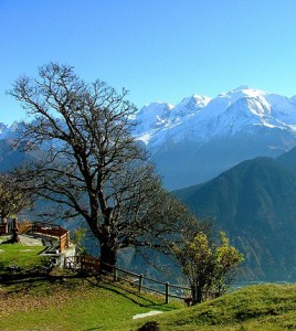 Mont Blanc, the highest point in the Alps (Credit: Wikimedia Commons)