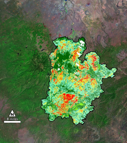 Burn severity map of Arizona fire (Credit: USGS, NASA Goddard Space Flight Center)