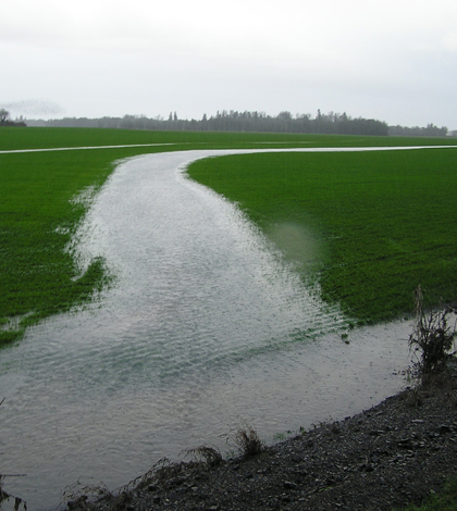 The Willamette Valley's poorly drained soils lead to spontaneous stream channels, speeding overland flow (Credit: Daniel Evans)