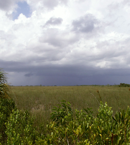 Everglades National Park along the main road to Flamingo (Credit: Moni3, via Wikimedia Commons)