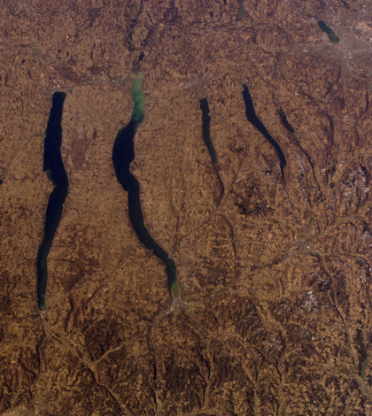 Several of New York's Finger Lakes (Credit: NASA)