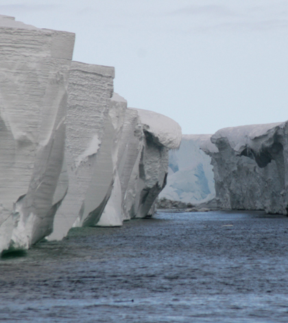 Ross Ice Shelf (Credit: lin padgham, via Wikimedia Commons)