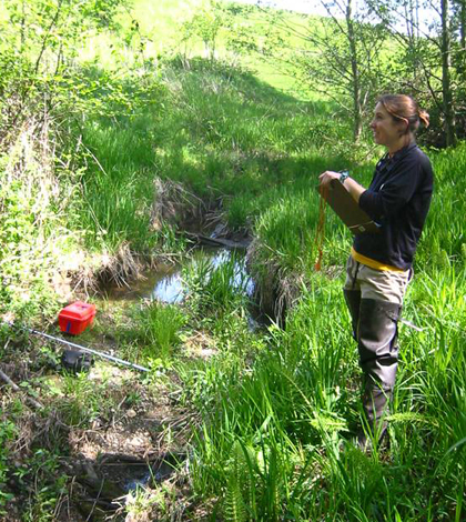 Allison Neils sampling stream macroinvertebrates in a forested reach. (Credit: Mike LeMoine)