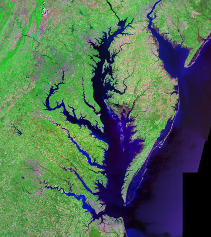 An aerial view of Chesapeake and Delaware bays from the Landsat satellite (Credit: USGS, vis Wikimedia Commons)