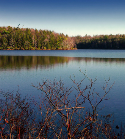 The Lacawac Sanctuary where the consortium will be based (Credit: Nicholas A. Tonelli, via Flickr)