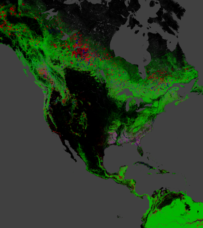 Red indicates forest loss, blue is gain, and green is forest extent(Credit: Nasa/University of Maryland)