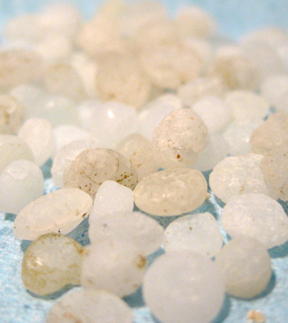 Plastic pellets common in marine debris (Credit: NOAA Marine Debris Program, via Flickr)