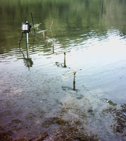 Fiber-optic-wrapped pipes extend in a transect into the Upper Delaware channel (Credit: Martin Briggs)