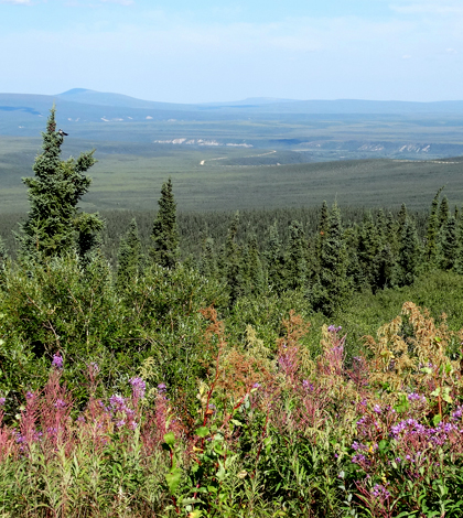 A view from Dempster Highway along the Eagle Plain region of Yukon (Credit: Adam Jones, via Flickr)