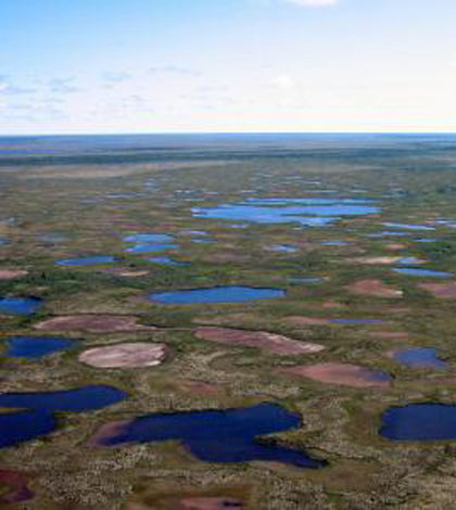 Desiccated lakes in Northern Canada (Credit: Hilary White)