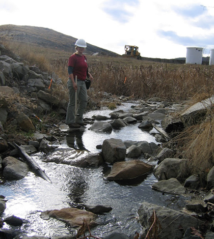 A constructed stream channel on a reclaimed mountaintop mine (Credit: Gretchen Gingerich)