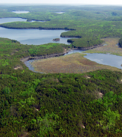 A small wetland pond in the Experimental Lakes Area where a study demonstrated the increased production of greenhouse gases and methyl mercury caused by flooding wetland areas upstream of hydro-electric dams. (Credit: John Shearer)