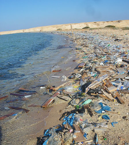 Plastic pollution on an Egyptian beach (Credit: Vberger, via Wikimedia Commons)