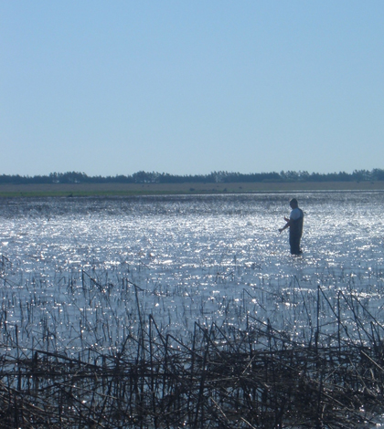 A Nebraska Rainwater Basin wetland (Credit: John Riens/U.S. Fish and Wildlife Service)