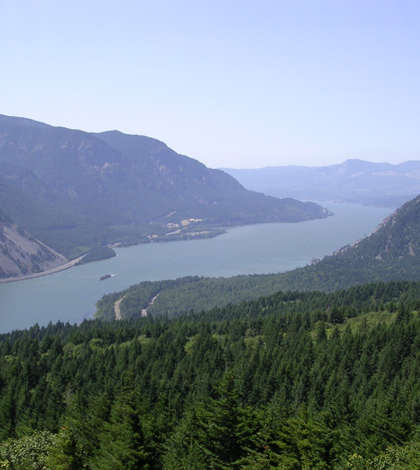 Columbia River Gorge as seen from Dog Mountain (Credit: Cacophony , via Wikimedia Commons)