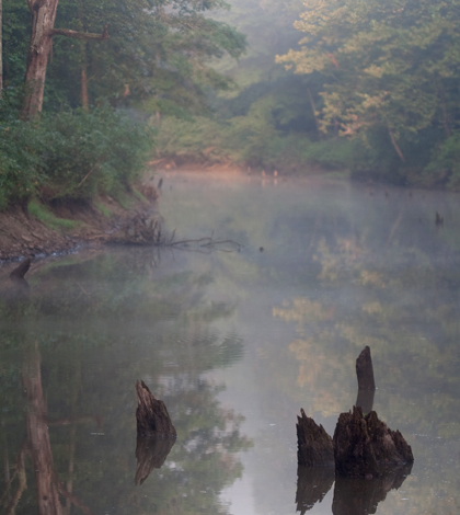 Middle Fork Salt Creek (Credit: Elizabeth Nicodemus, via Flickr)