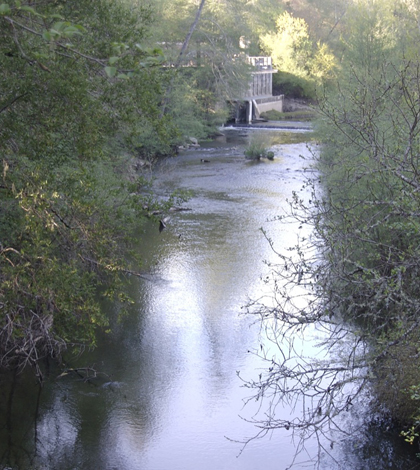 San Lorenzo River at the entrance to Henry Cowell Redwoods State Park, Santa Cruz County, Calif. (Credit: Ken, via Wikimedia Commons)