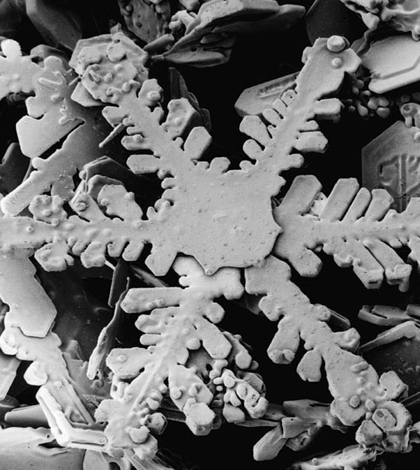 Electron microscope image of a hexagonal dendrite snowflake (credit: USDA, via Wikimedia Commons)