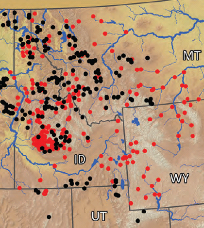 Each dot represents one of over 500 monitoring sites in the NoRRTN stream temperature network (Credit: U.S. Forest Service)