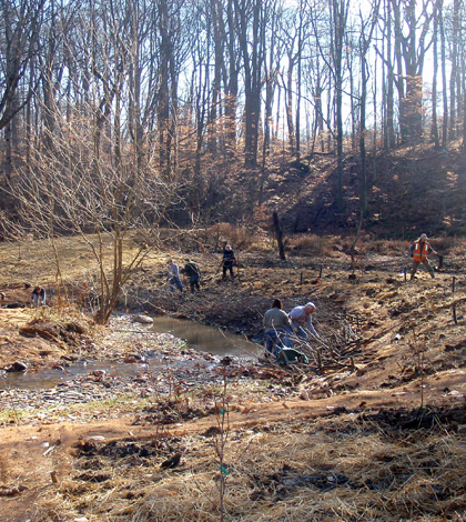 Volunteers working on a stream restoration on Sulphur Springs in Northeast Ohio that could provide additional habitat for Ohio brook trout (Credit: Cleveland Metroparks)