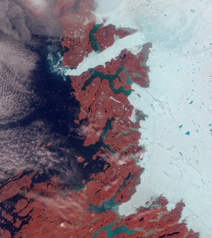A false-color satellite image of the Jakobshavn Glacier (Credit: NASA, via Wikimedia Commons)