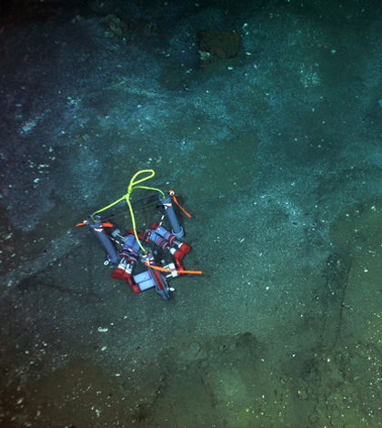 A Mosquito meter on the seafloor of the coast off the Pacific Northwest (Credit: NSF-OOI/UW/CSSF)