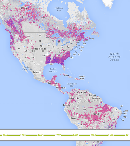 Global Forest Watch tool screenshot (Credit: World Resources Institute)