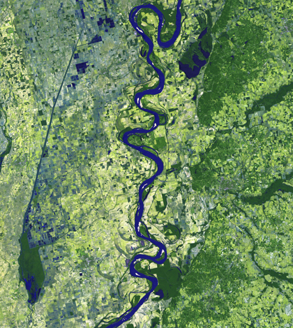 Satellite image of the Mississippi River from the Landsat program (Credit: NASA Goddard Space Flight Center)