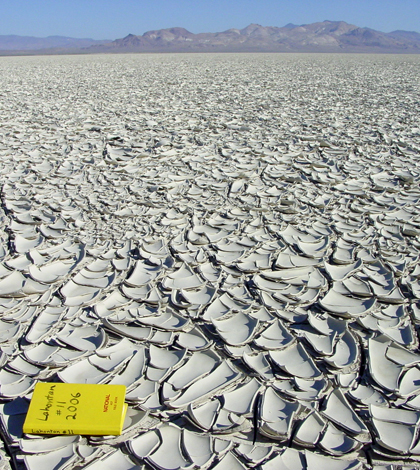 Mud curl deposits left by an evaporating lake (Credit: Kenneth Adams)