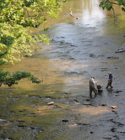 Workers from The Academy of Natural Sciences of Drexel University work in Manatawny Creek as part of the William Penn Foundation's Delaware Watershed Conservation Program (Credit: John Strickler/The Mercury)